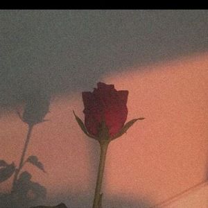 Meet your Posher, Illeana